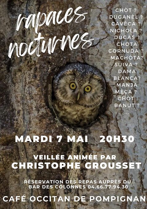 cafè occitan Rapaces nocturnes dimars 7 de mai Christophe GROUSSET