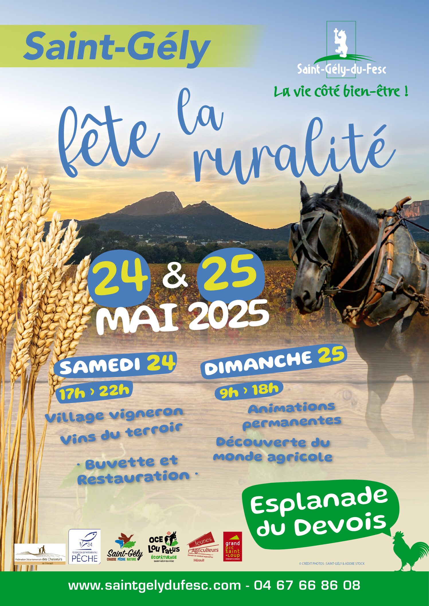 La fèsta de la ruralitat, lo 25