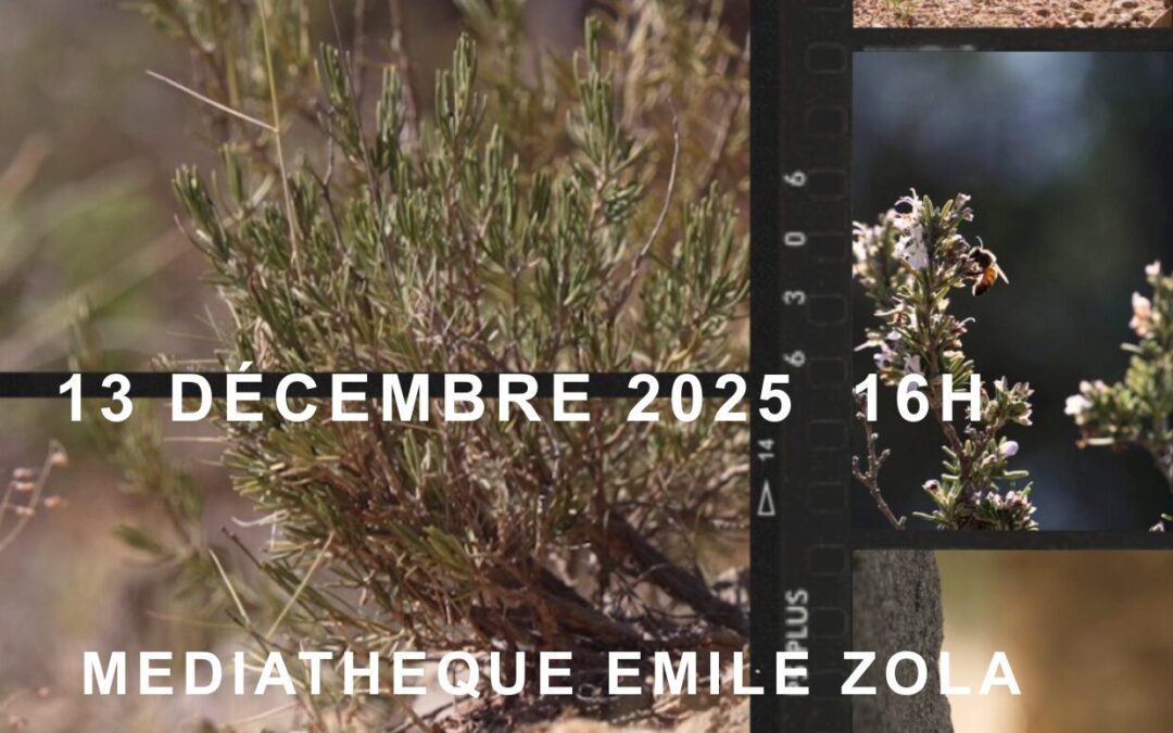 Max Roqueta, l’engarrigat