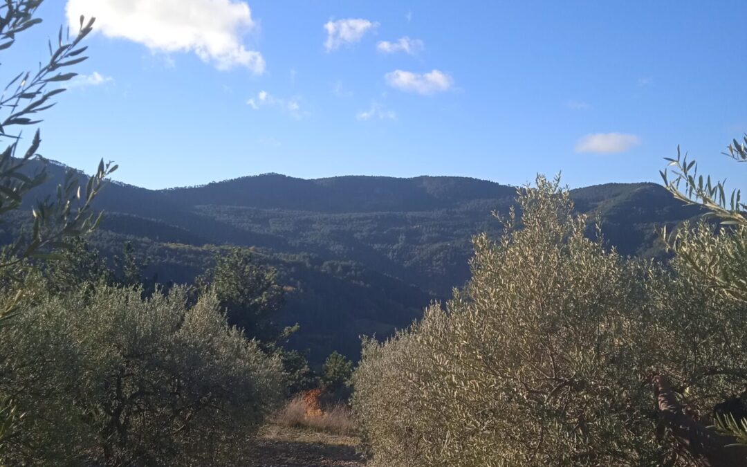  Un conte de Nadal ? Benlèu…(1)