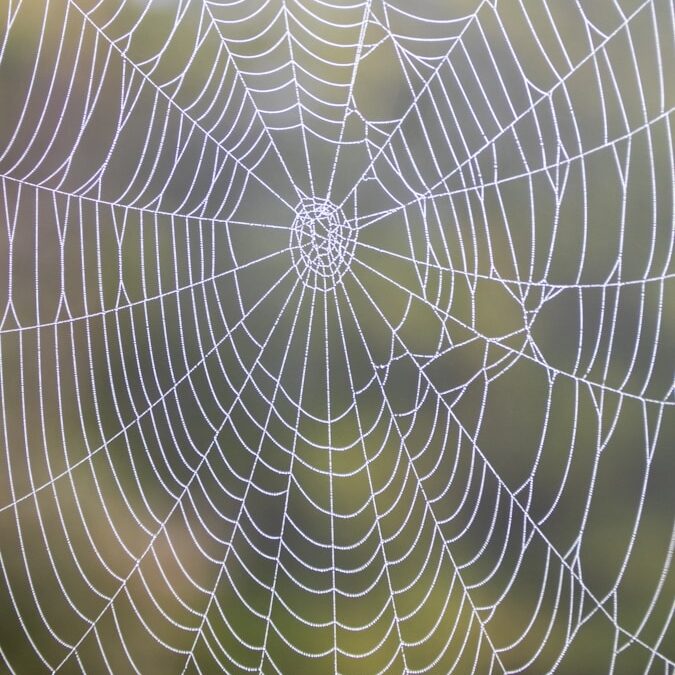 Dins los rets de la tatiranhassa…