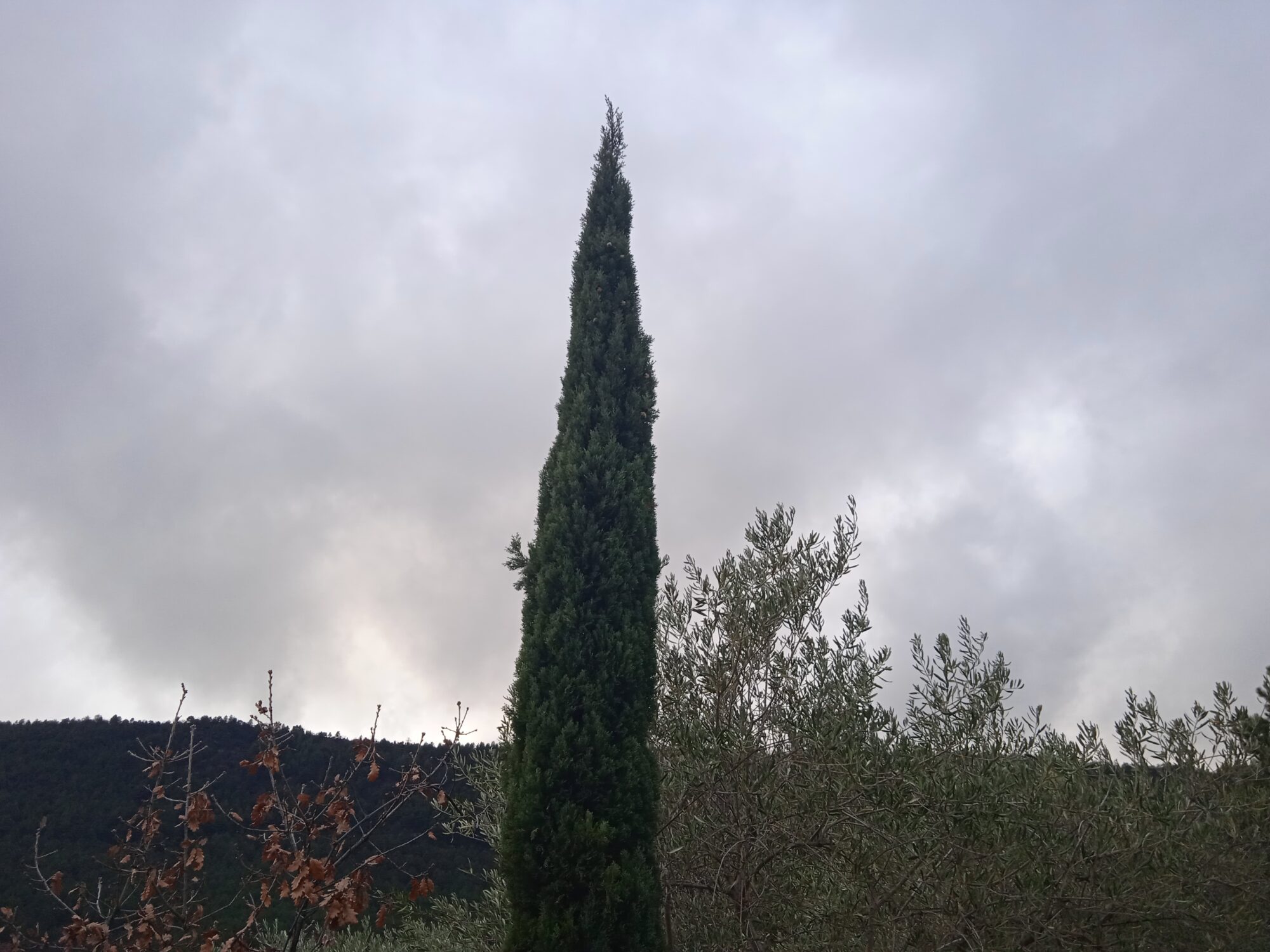 lightning strike during blue sky