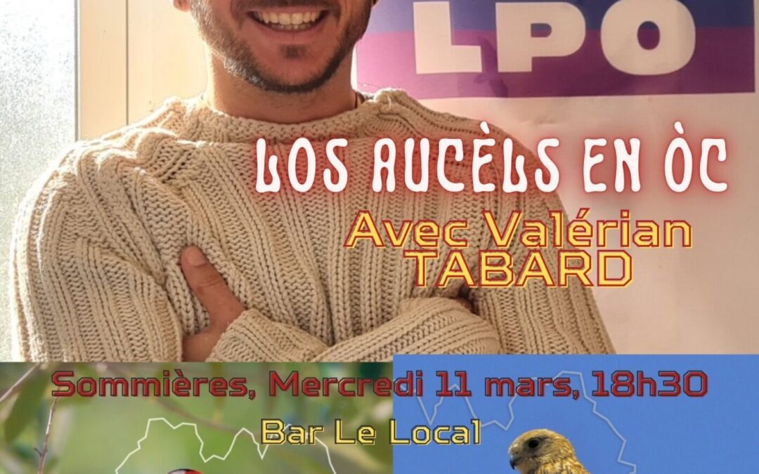 L&rsquo;aucelum au cafè òc de Somèire, lo 11