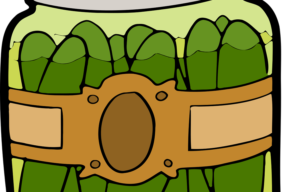 L&rsquo;ascensor a cornissons