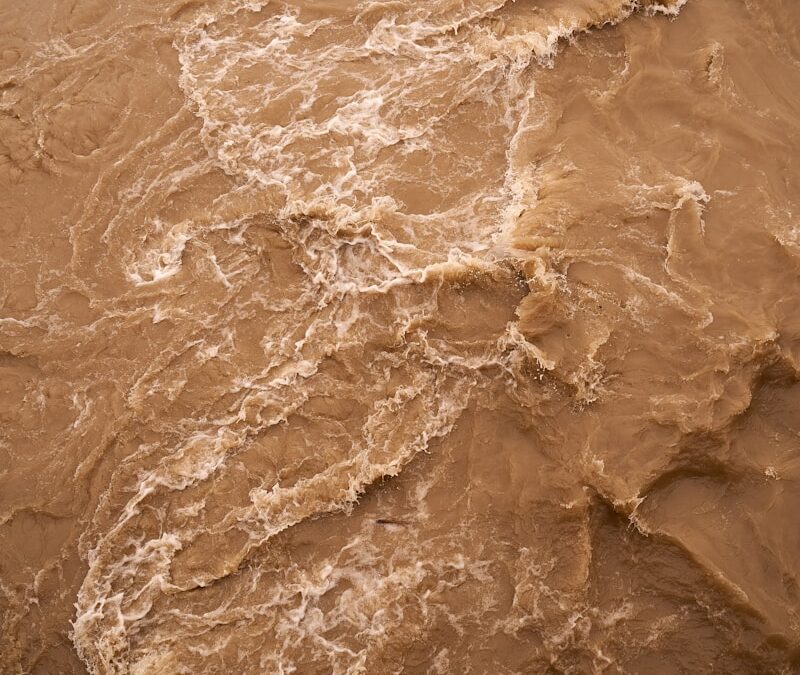 L’agenda del bruch, lo silenci del desastre