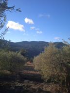 Lo bòsc domanial de Parlatges (2)