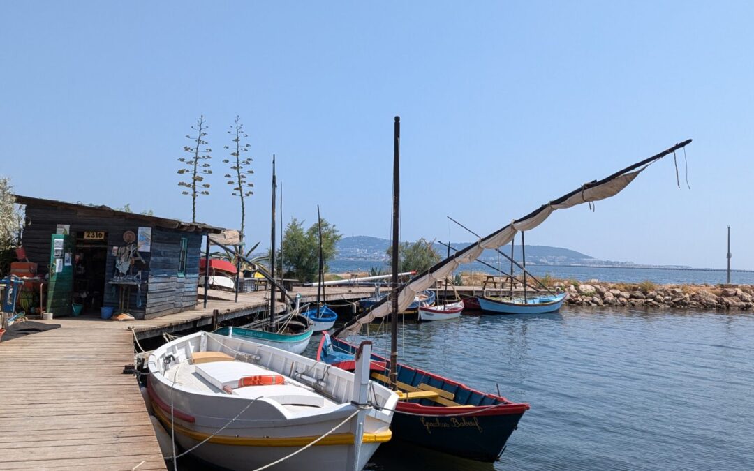 De la montanha a la mar (1)