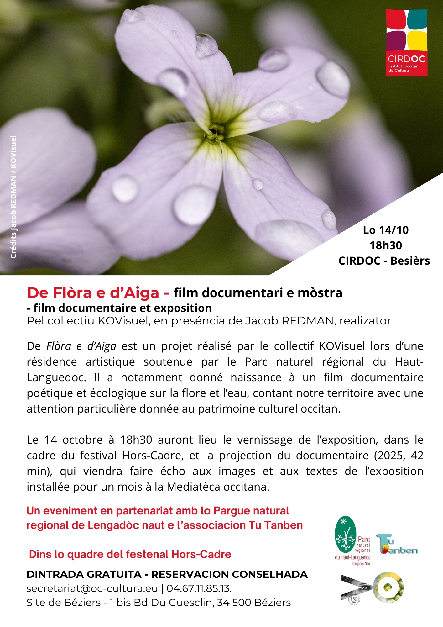 Flyer Defloraedaiga