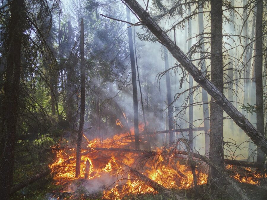 INCENDIS MONSTRES
