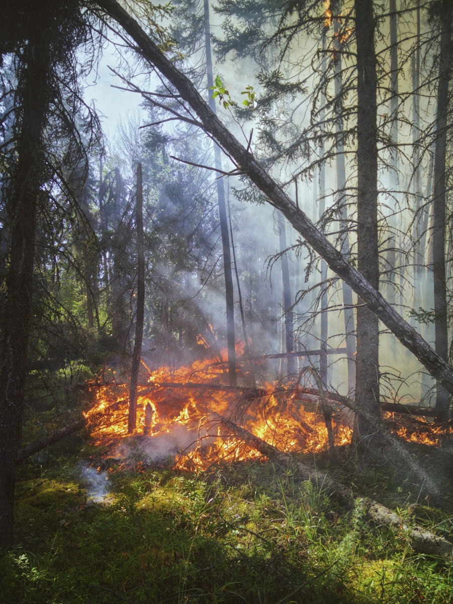 Accueil 1 INCENDIS MONSTRES